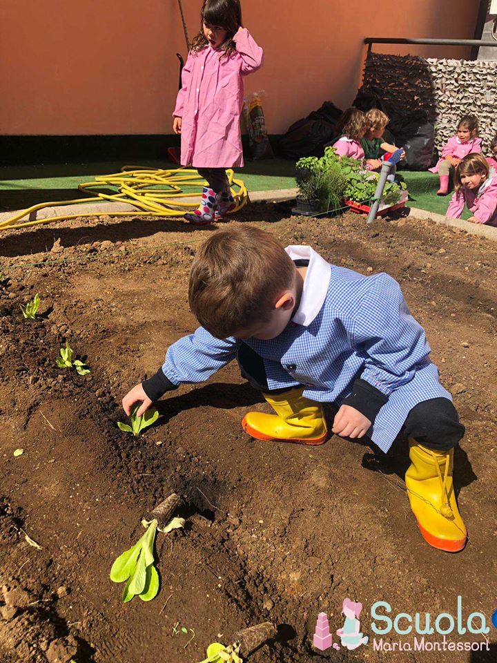 Scuola Maria Montessori - orto didattico