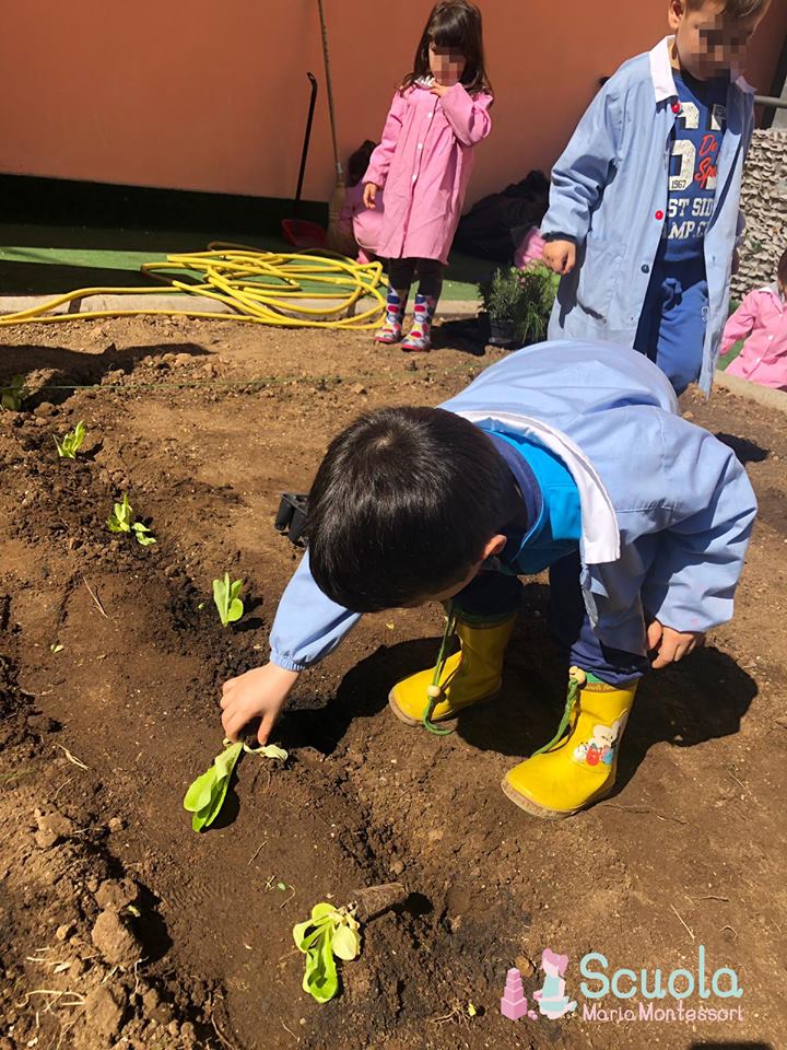 Scuola Maria Montessori - orto didattico