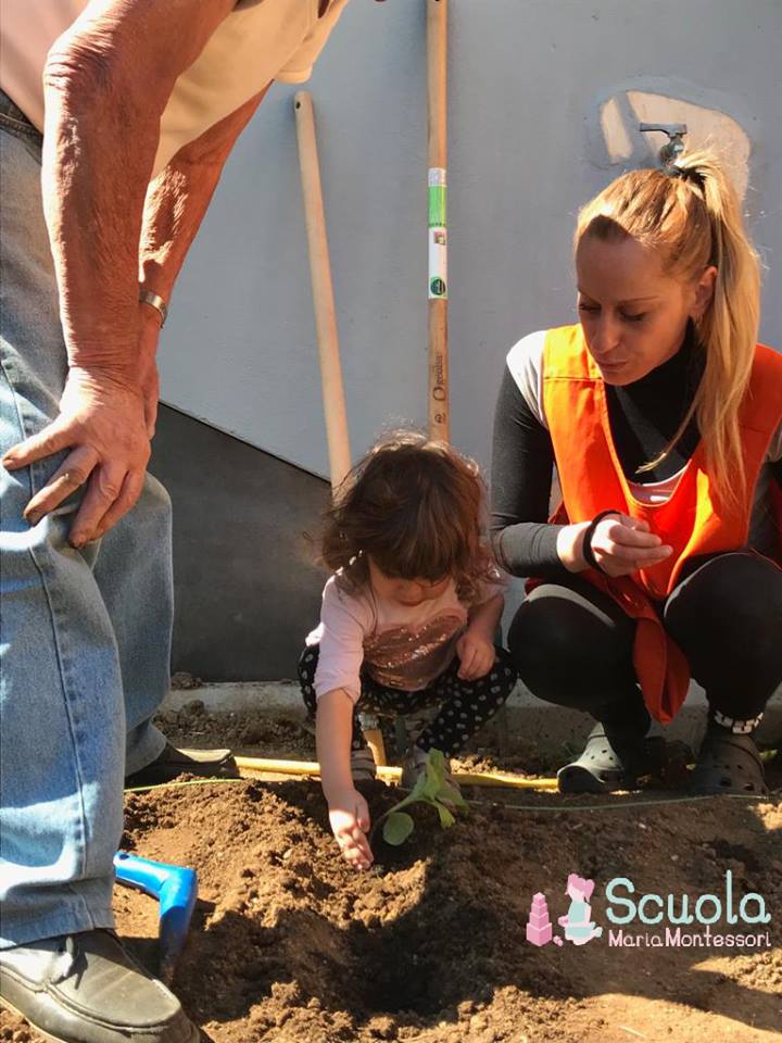 Scuola Maria Montessori - orto didattico