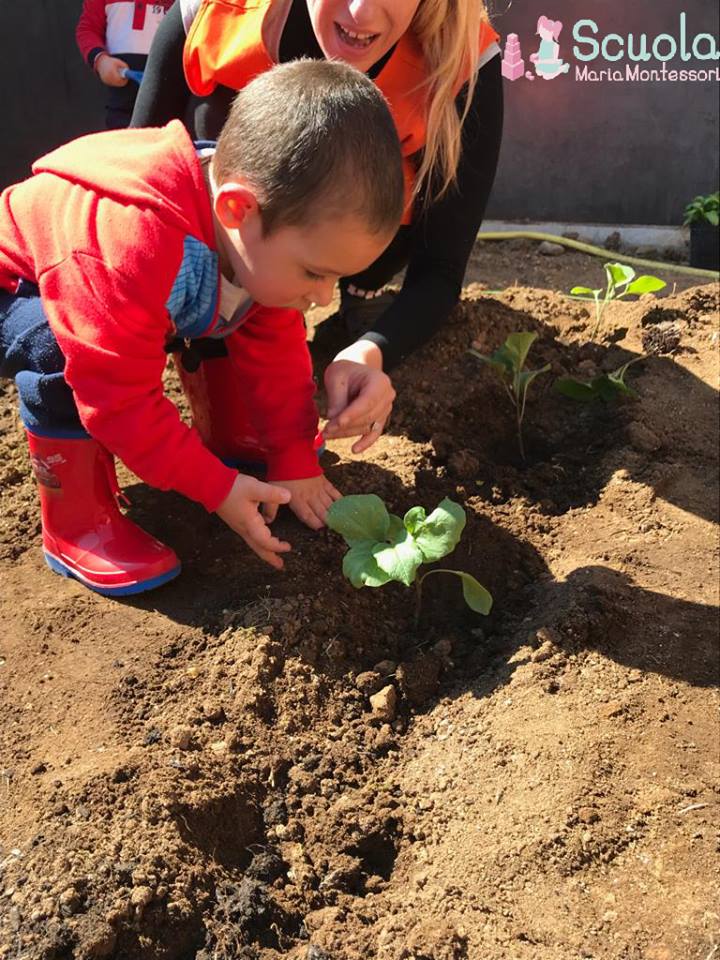 Scuola Maria Montessori - orto didattico