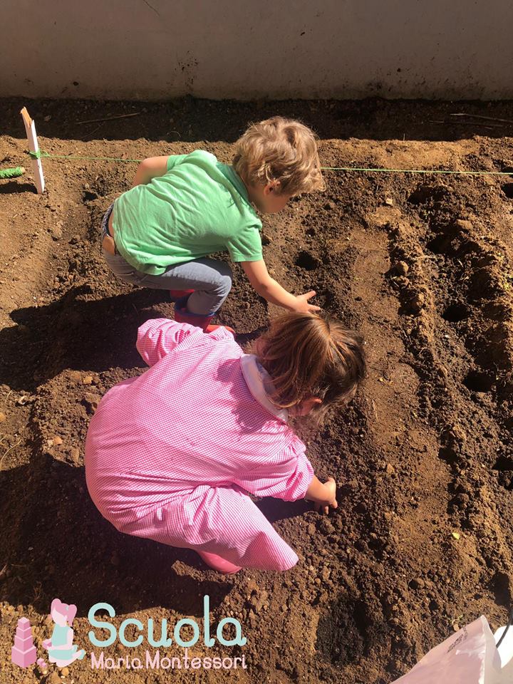 Scuola Maria Montessori - orto didattico