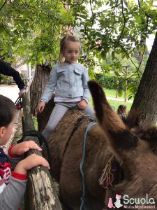 Gita scolastica -  eventi scuola Maria Montessori
