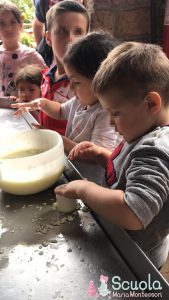 Gita scolastica - eventi scuola Maria Montessori